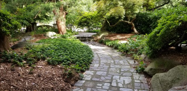 stone pave path through woodland garden