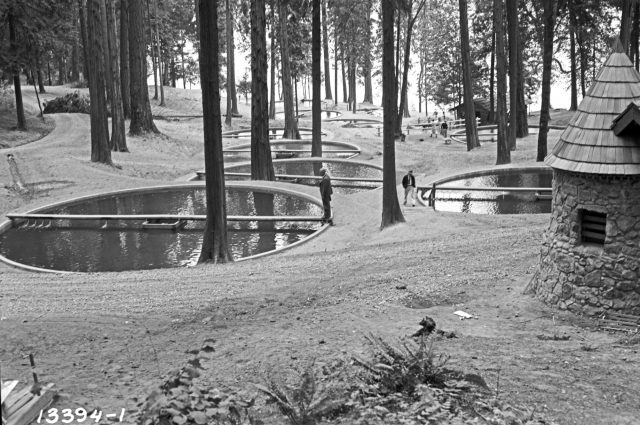 black and white photo of nine circular fish ponds