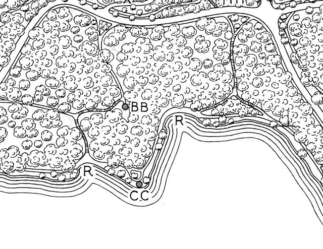 cl;ose-up of black and white drawing of park plan